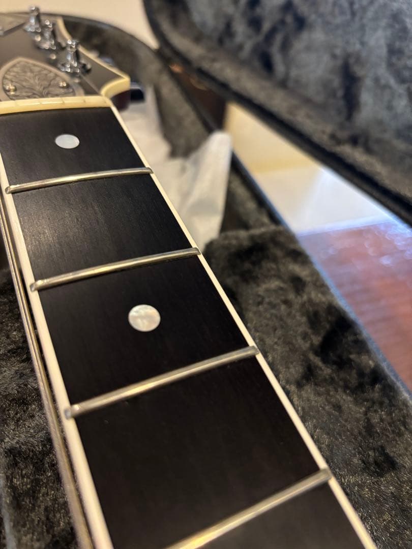 どん。zemaitis カスタムショップ　CS24MF メタルフロント