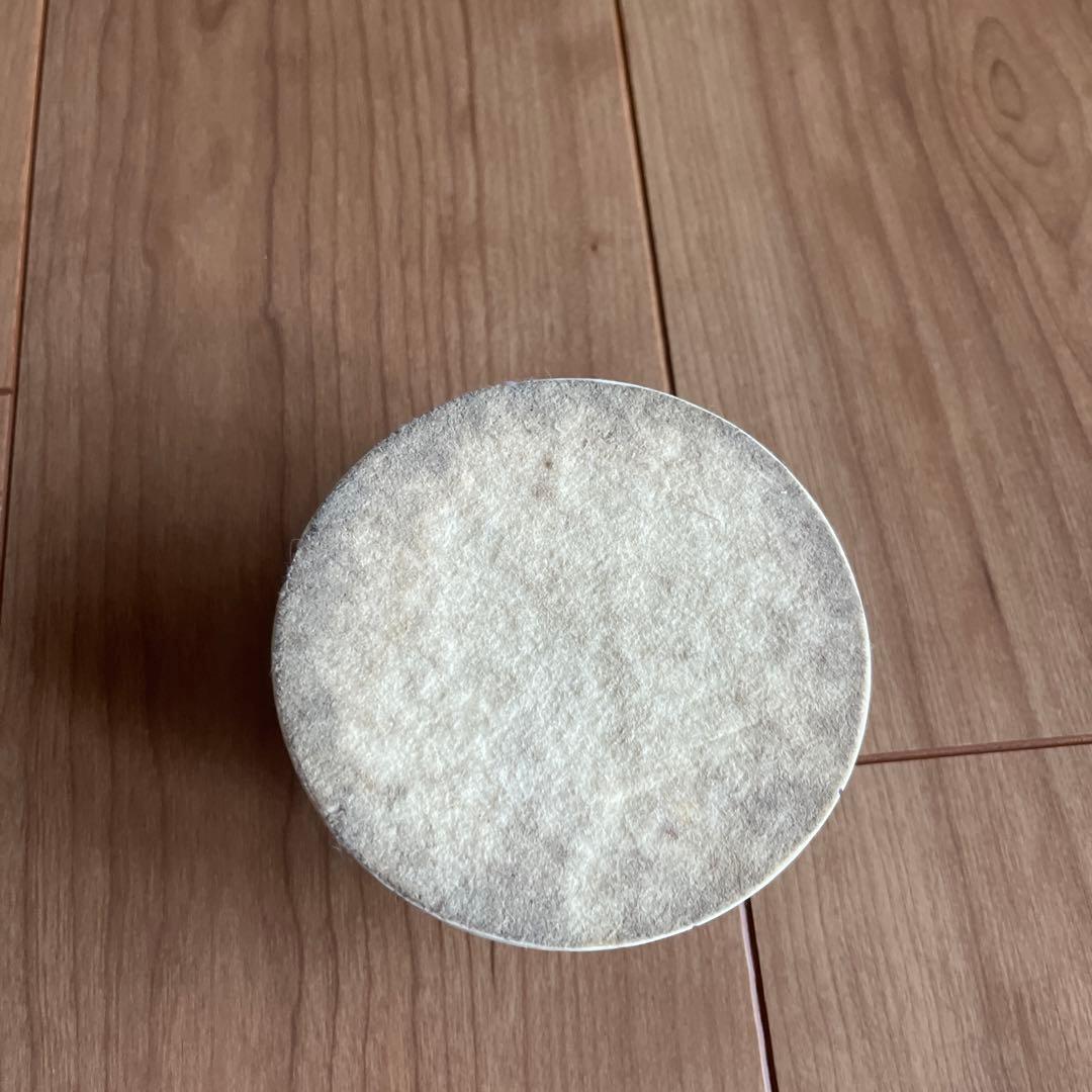 RIZON サソリの標本 直径約10cm アリゾナ製　アメリカ　1990年代