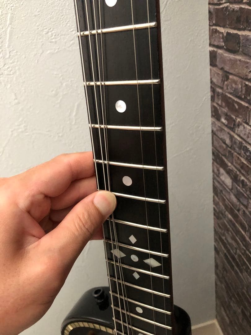 送料無料Zemaitis C24SU ゼマイティス