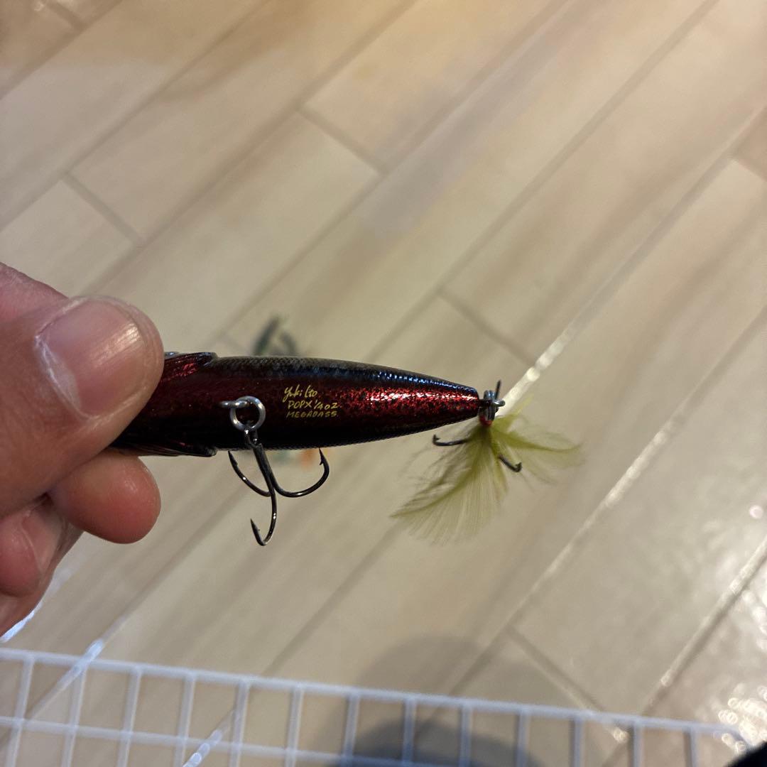 メガバス　ポップX 歌舞伎カラー