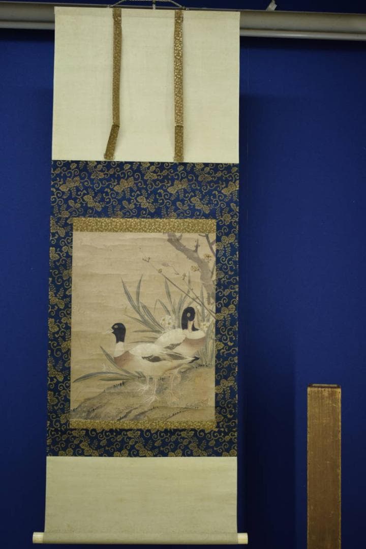 真作/狩野探幽/鴨の図/絹表装/布袋屋掛軸HH-508