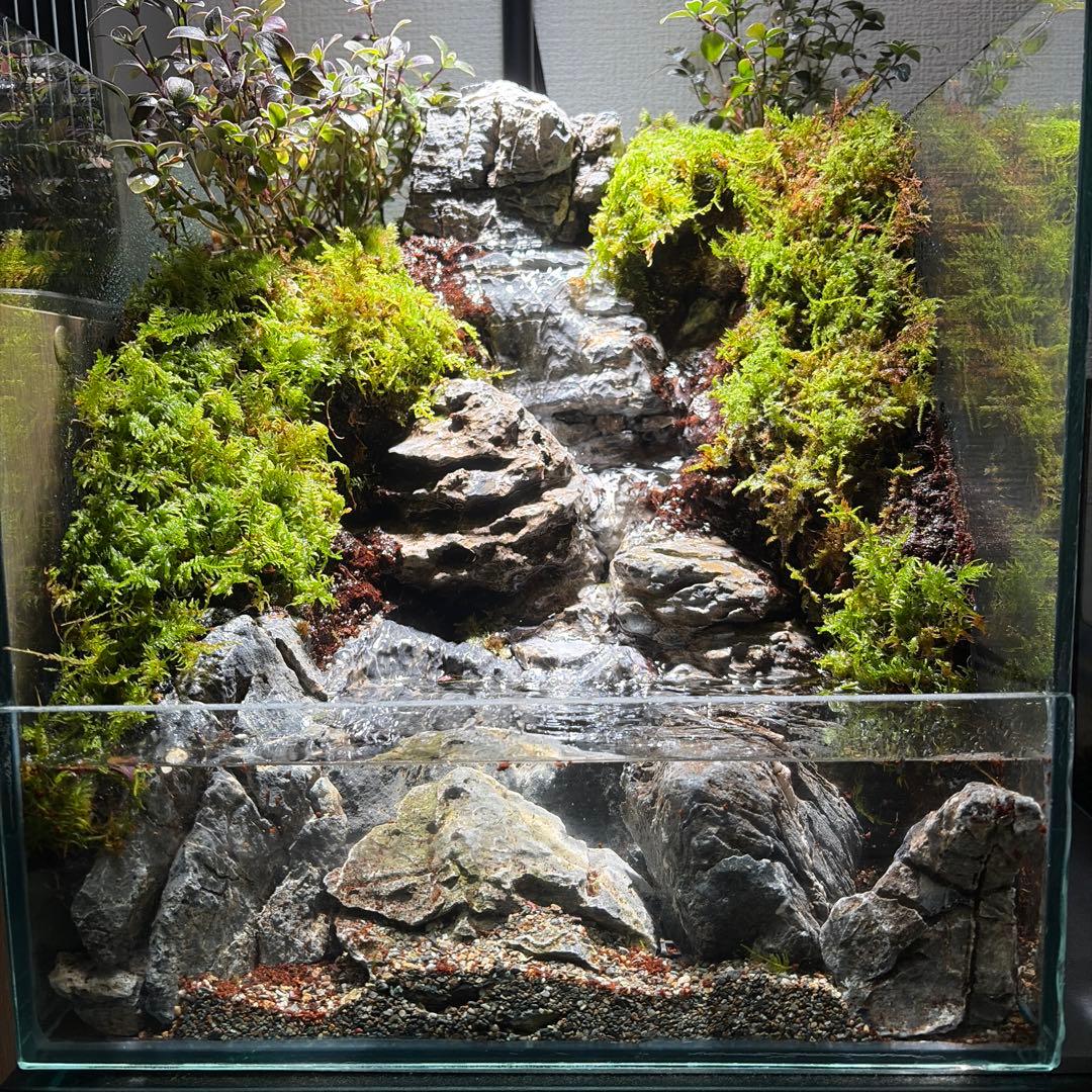 【受注生産】大きな滝のアクアテラリウム