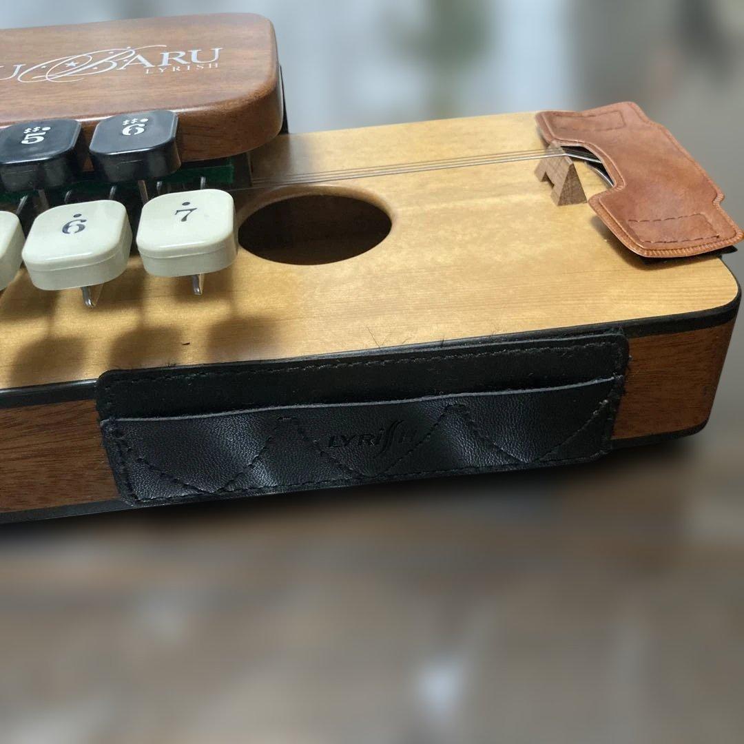 ライリッシュ 大正琴 専用ソフトケース付き