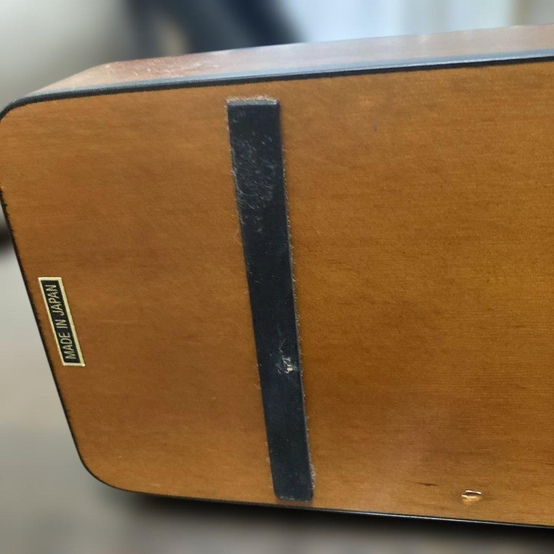 ライリッシュ 大正琴 専用ソフトケース付き