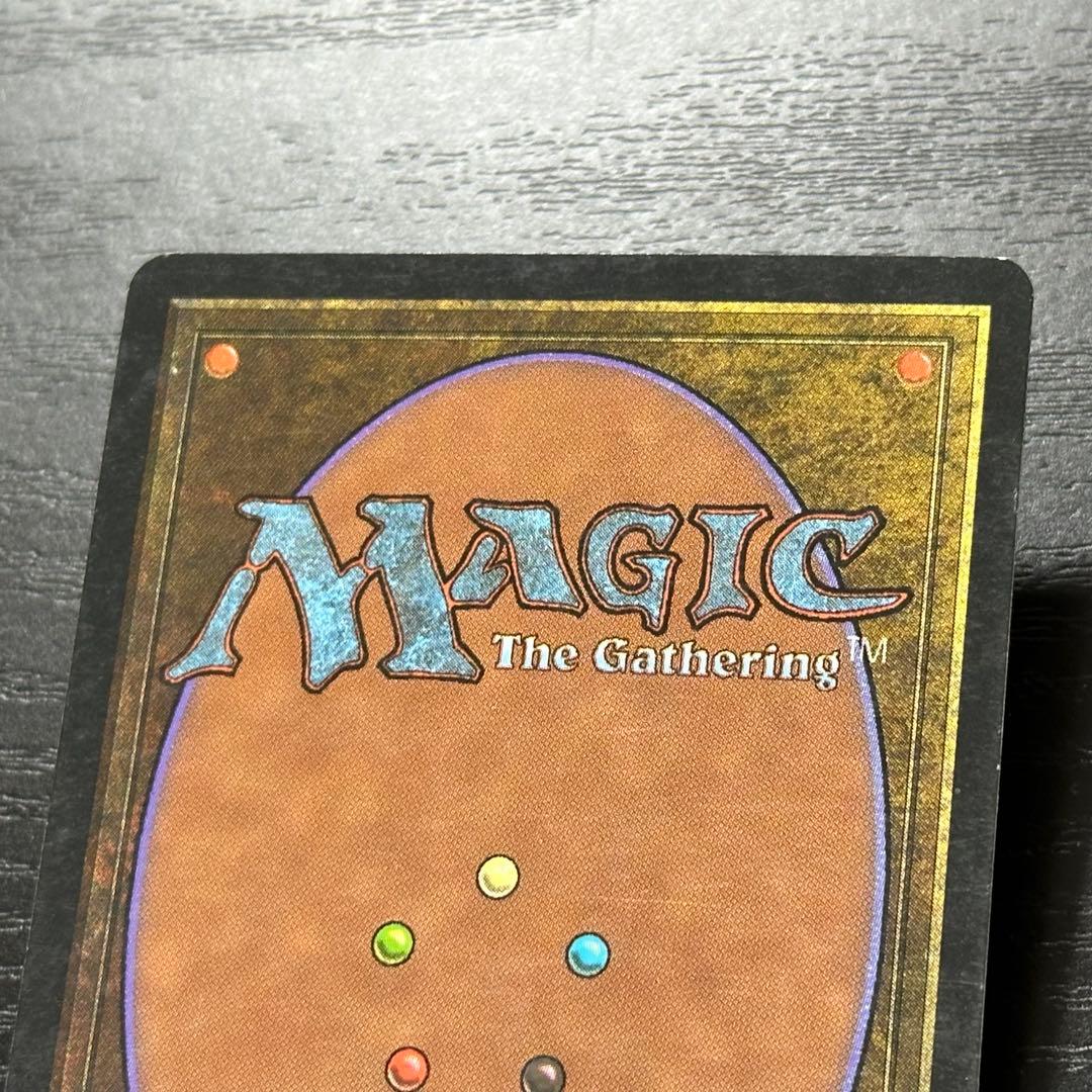 MTG 不毛の大地 日本語 初版 3枚