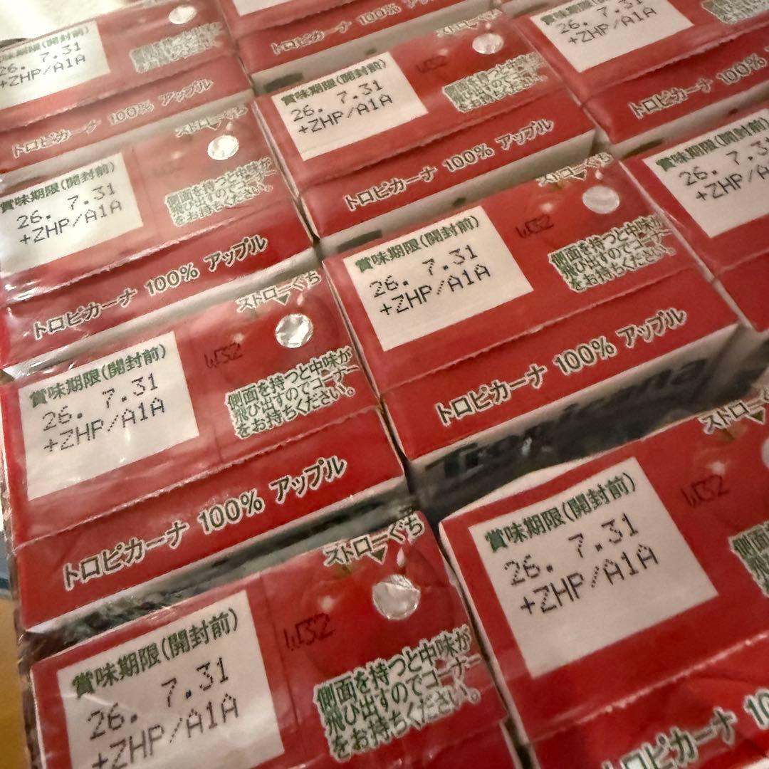 紙パック飲料　まとめ売り　7ケース　81本セット