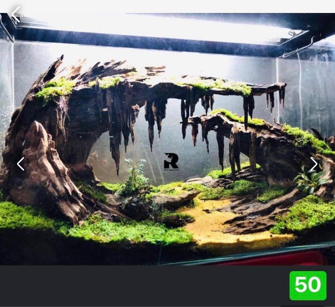 水槽用流木レイアウト 。水槽用流木アクアリウムレイアウト。水槽用流木 。盆栽流木