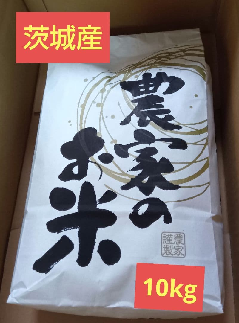 お米　10㎏　送料込み