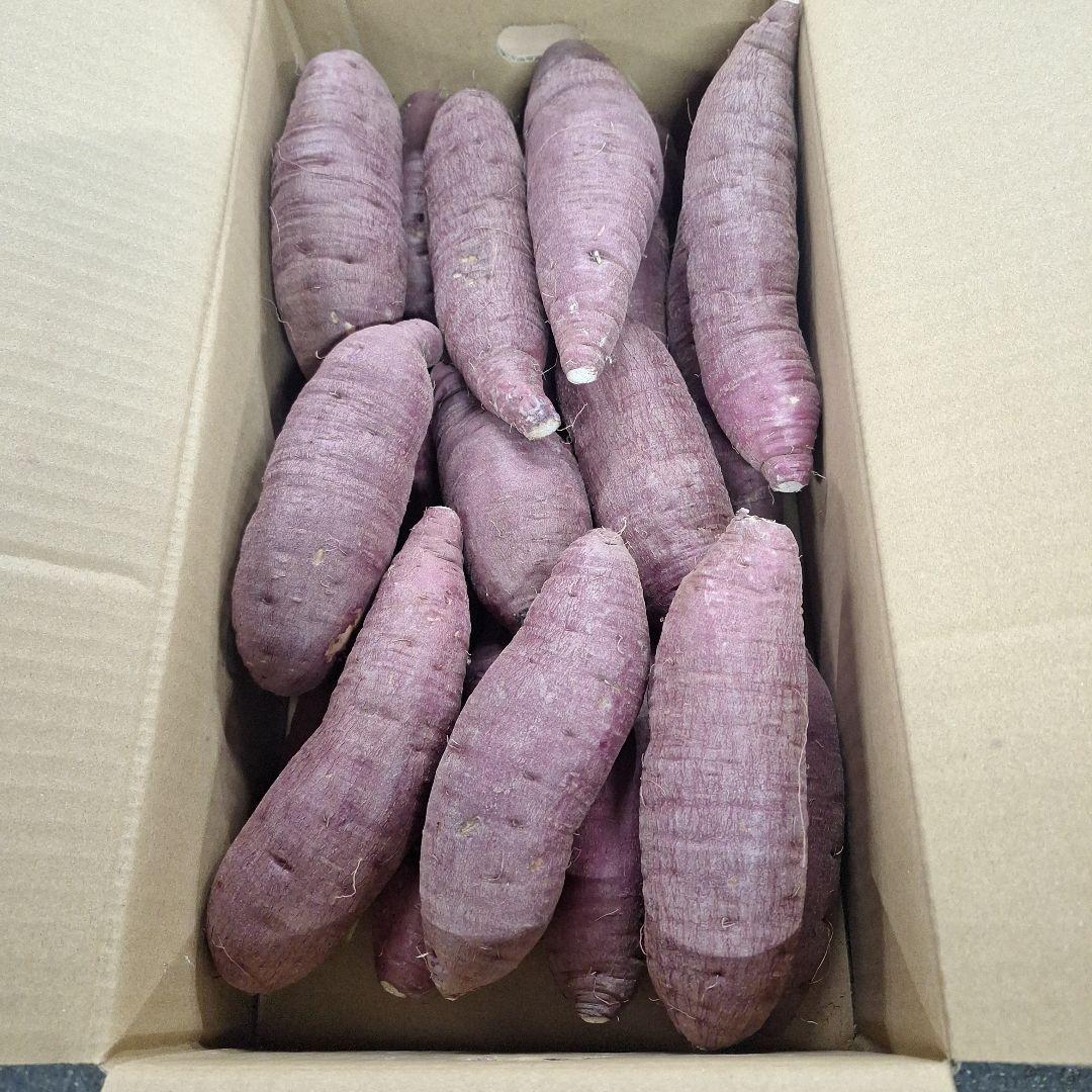 【つーちゃん】紅はるか 熊本県産Lサイズ30kg