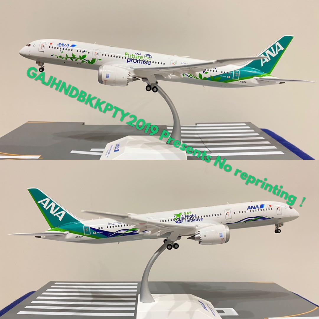 ANA 緑 B787-9 Green Jet 871Aフラップダウン 1/200