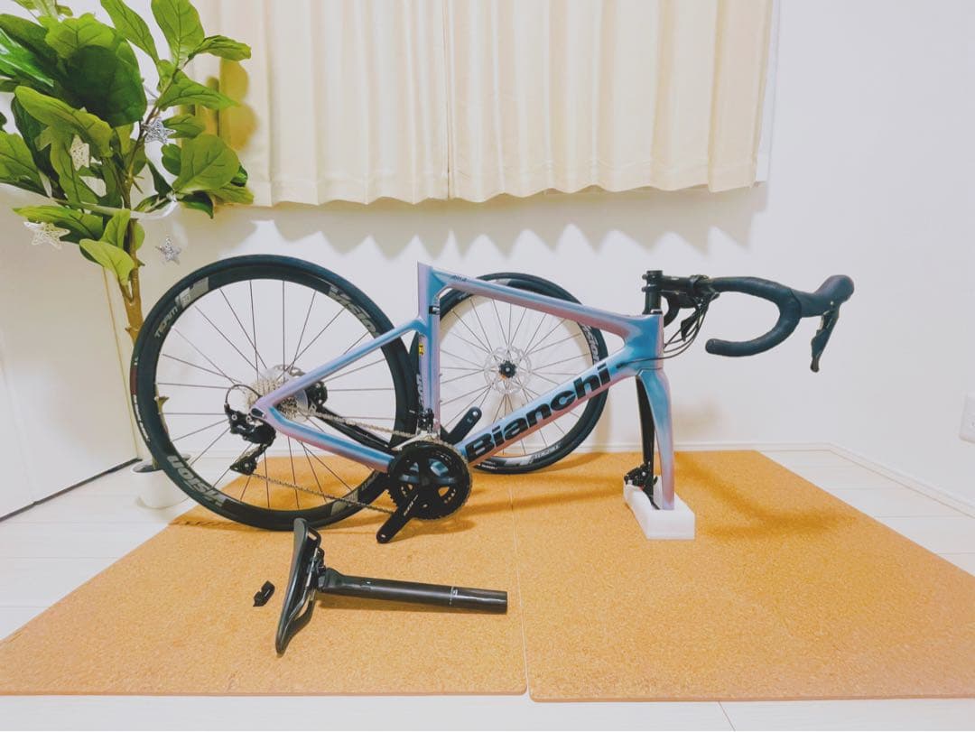 Bianchi ARIA サマータイムドリーム