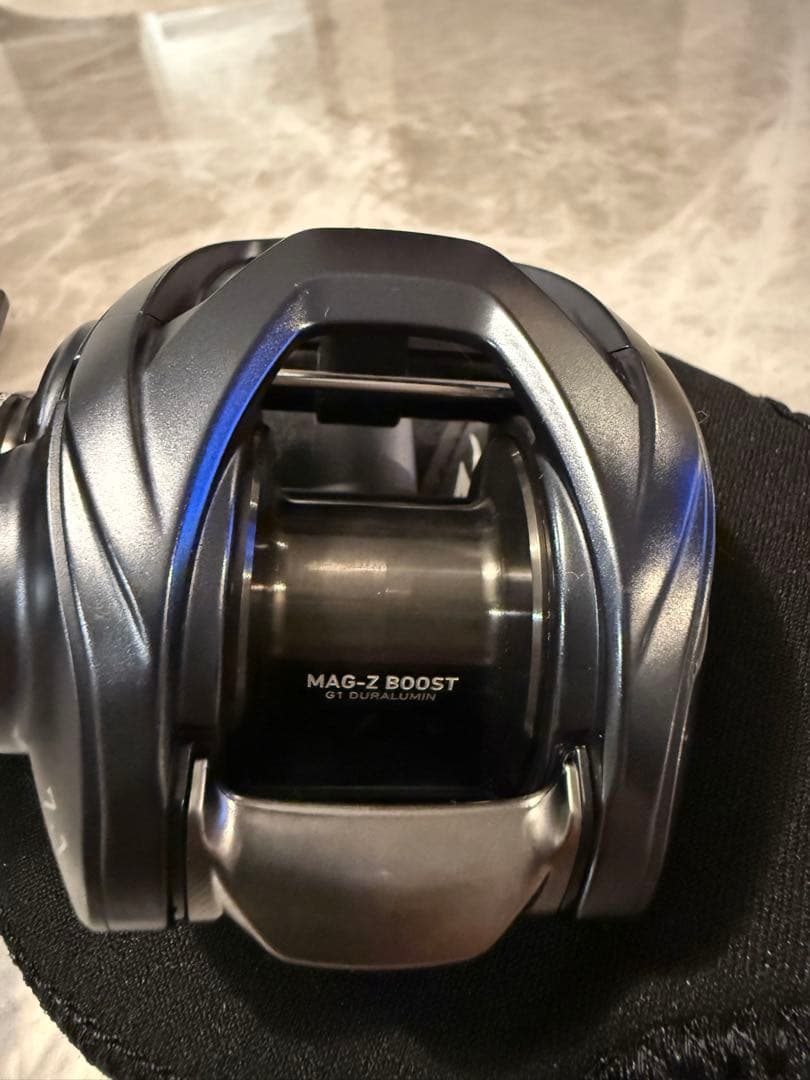 ダイワ スティーズ A2 TW 1000HL