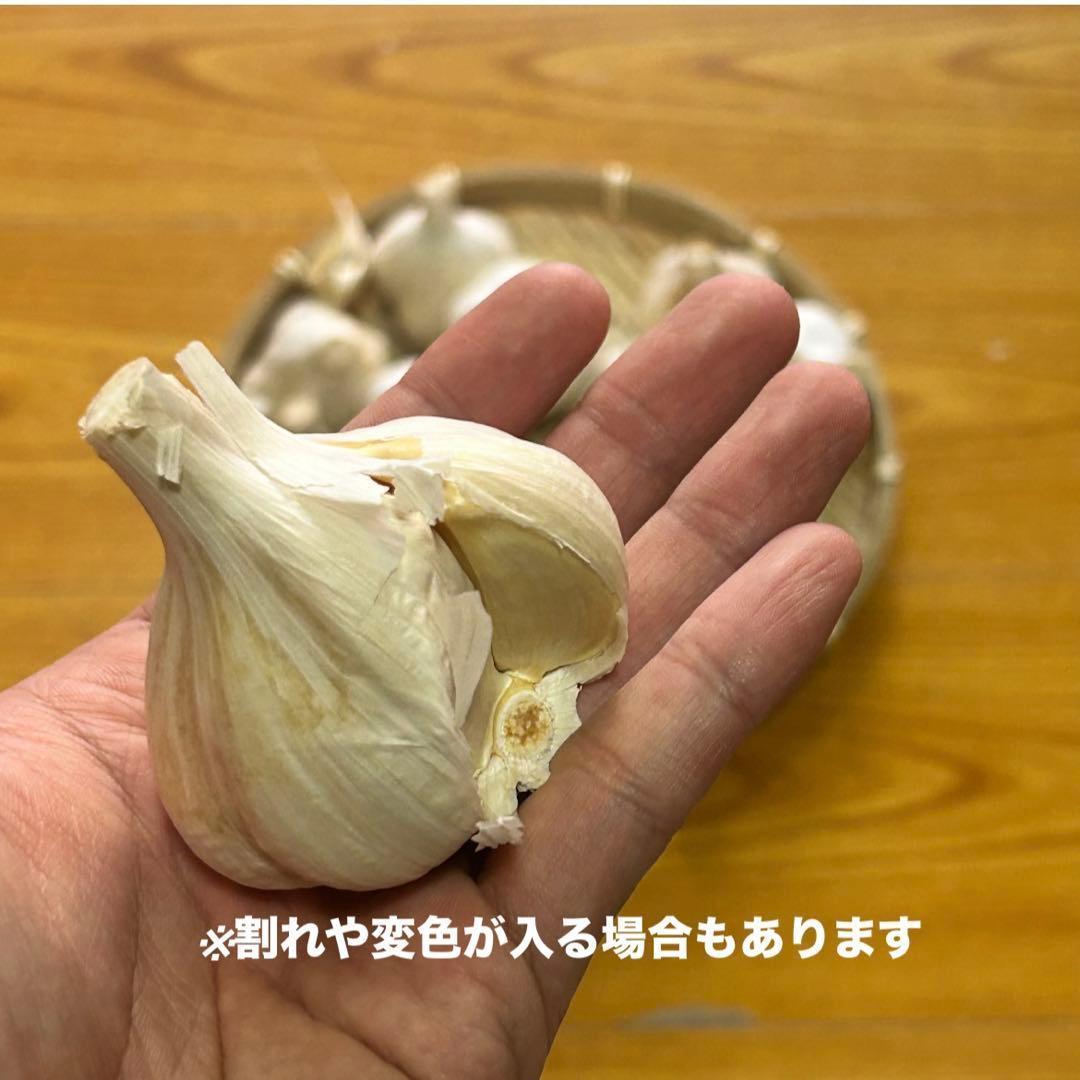 【お買い得セール】青森県 福地ホワイト にんにく L 10kg 　黒にんにく加工