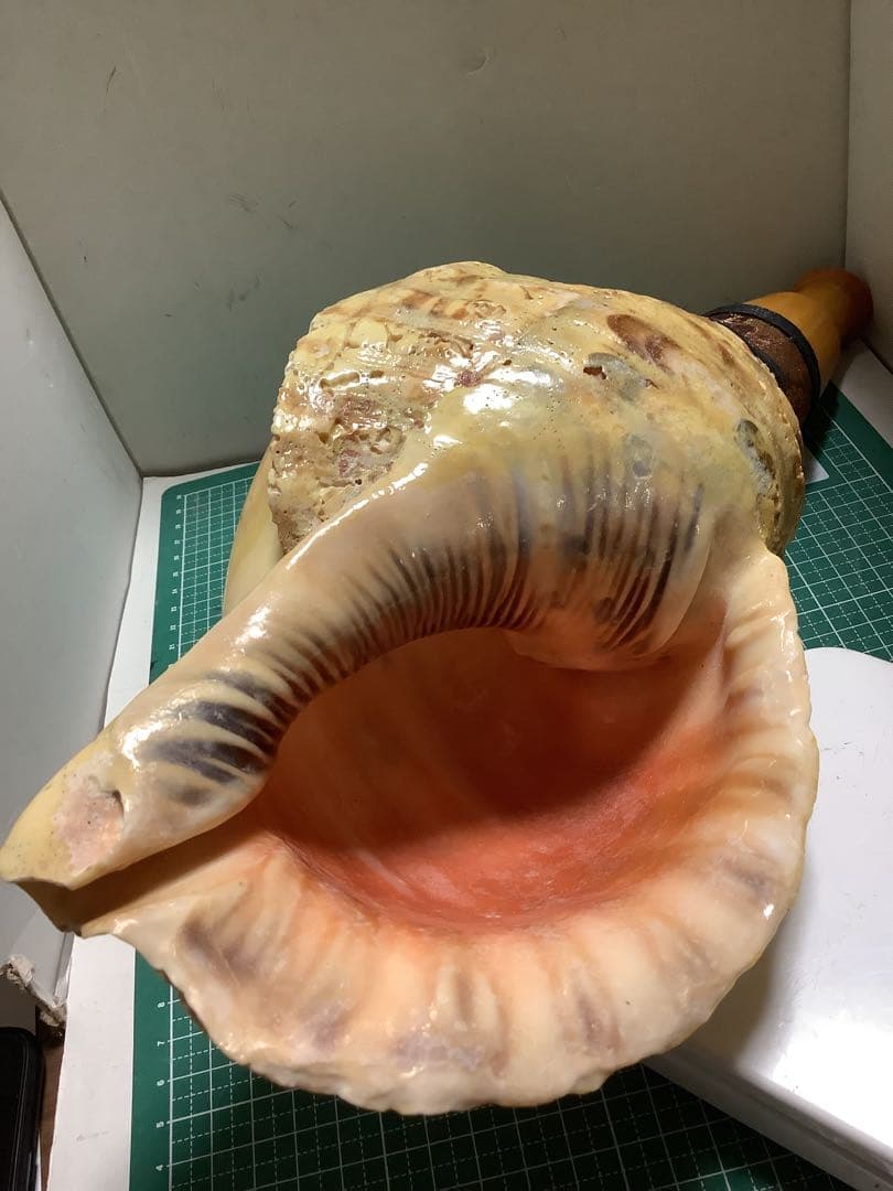 ヤフメリ43・法螺貝・山伏・修験者・金峯山・羽黒山・戦国武将・縁起物・熊除け笛