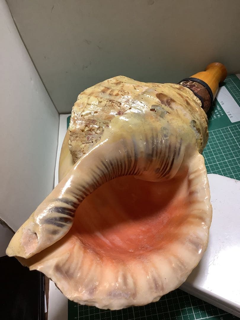 ヤフメリ43・法螺貝・山伏・修験者・金峯山・羽黒山・戦国武将・縁起物・熊除け笛