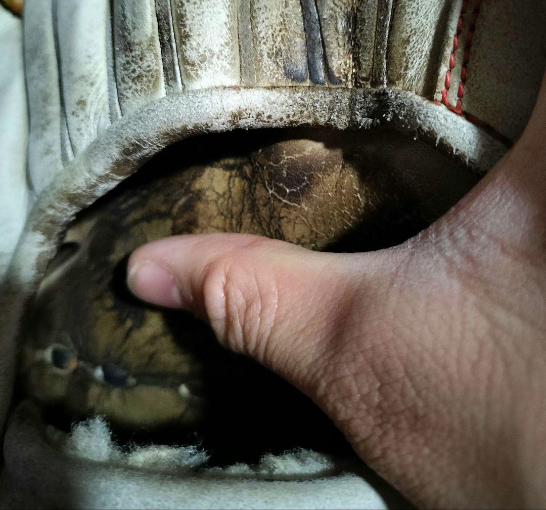 ら*ん様 ミズノ Global Elite japan 硬式野球グローブ 外野手