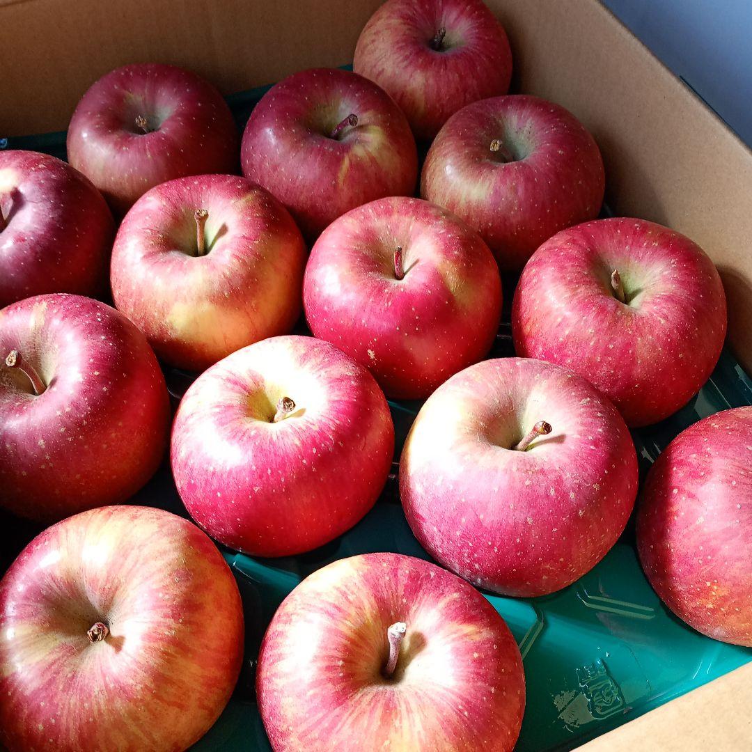 青森　葉取らずサンふじ　10キロ箱　赤特秀