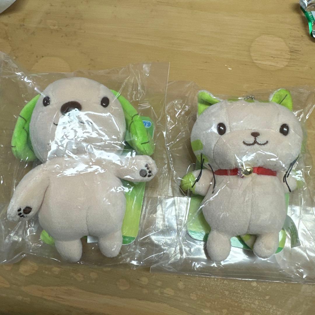 スギ薬局 キャラクター スーギースーニャ 激レア ぬいぐるみ 入手困難 限定品