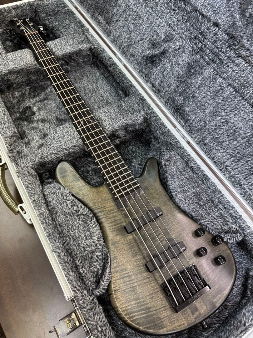 ベース Warwick Custom Shop Robert Trujillo Sig