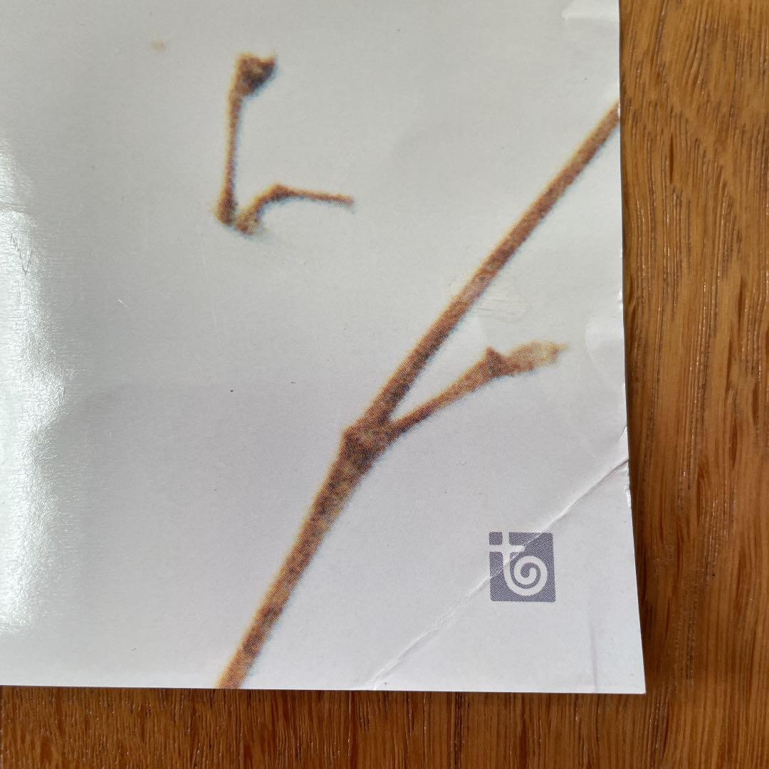 Mr.Children HERO 販促品ポスター 非売品