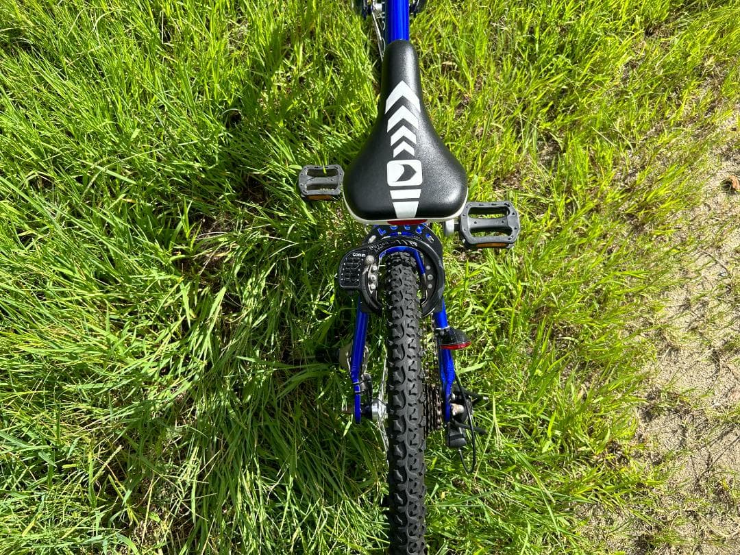 ルイガノ LGS－Ｊ２０６ 6段変速ギヤ 色：ブルー サイコン付