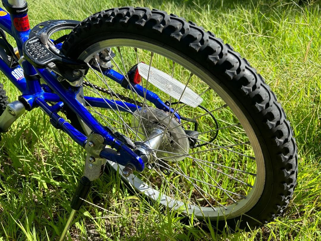 ルイガノ LGS－Ｊ２０６ 6段変速ギヤ 色：ブルー サイコン付