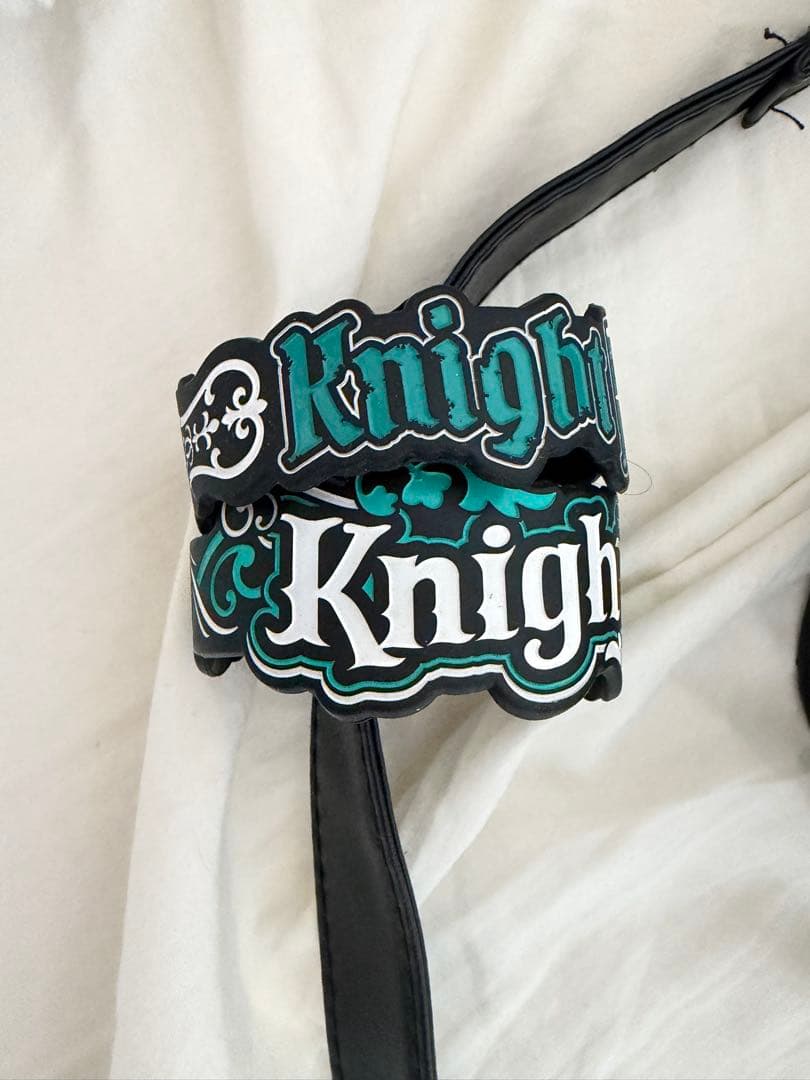 騎士Xしゆん痛バッグ缶バッジ24個、リストバンド、アクキーセット