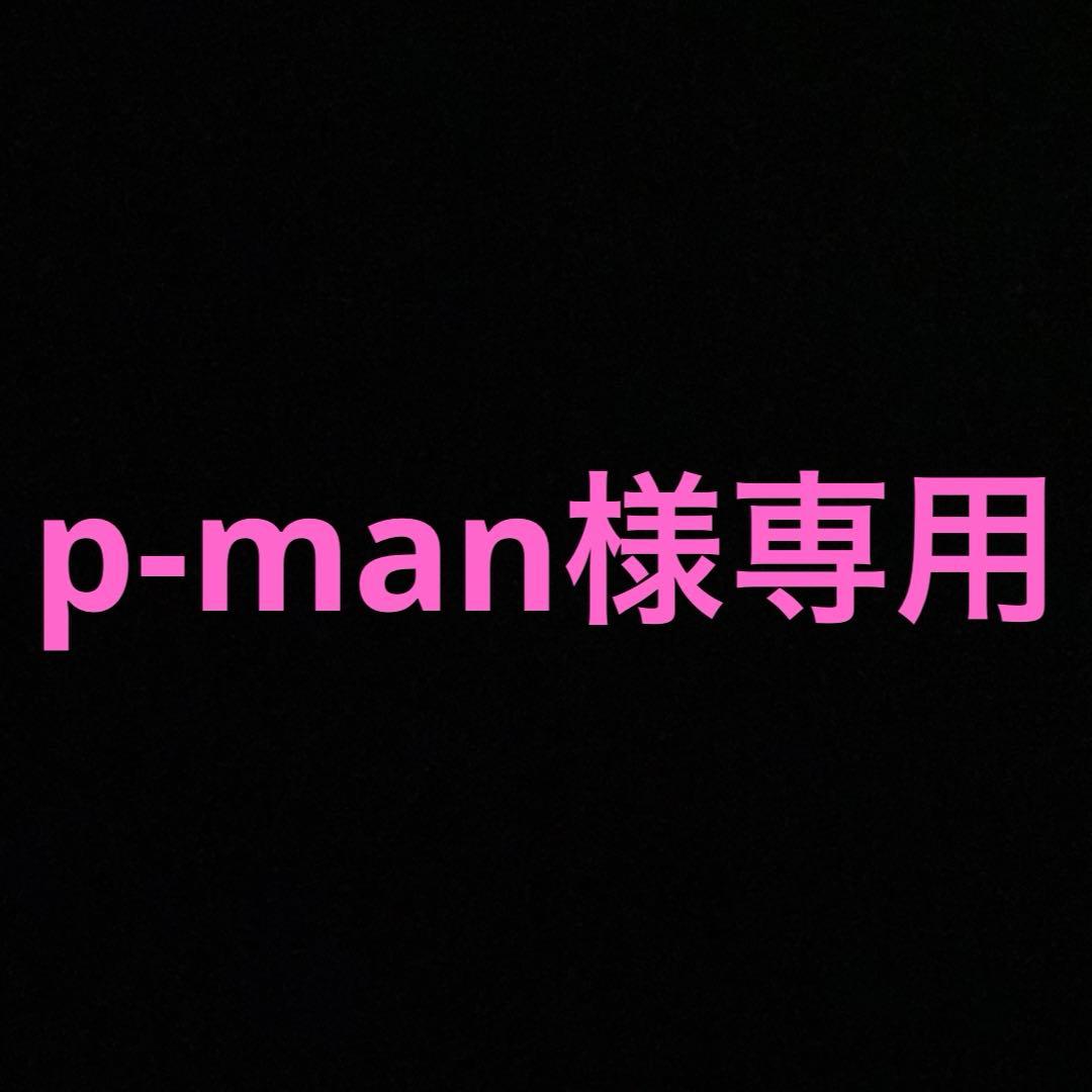 画材 p-man