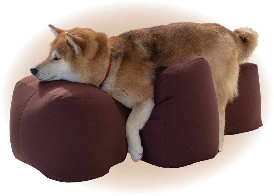 介護用クッション OneAid Mサイズ