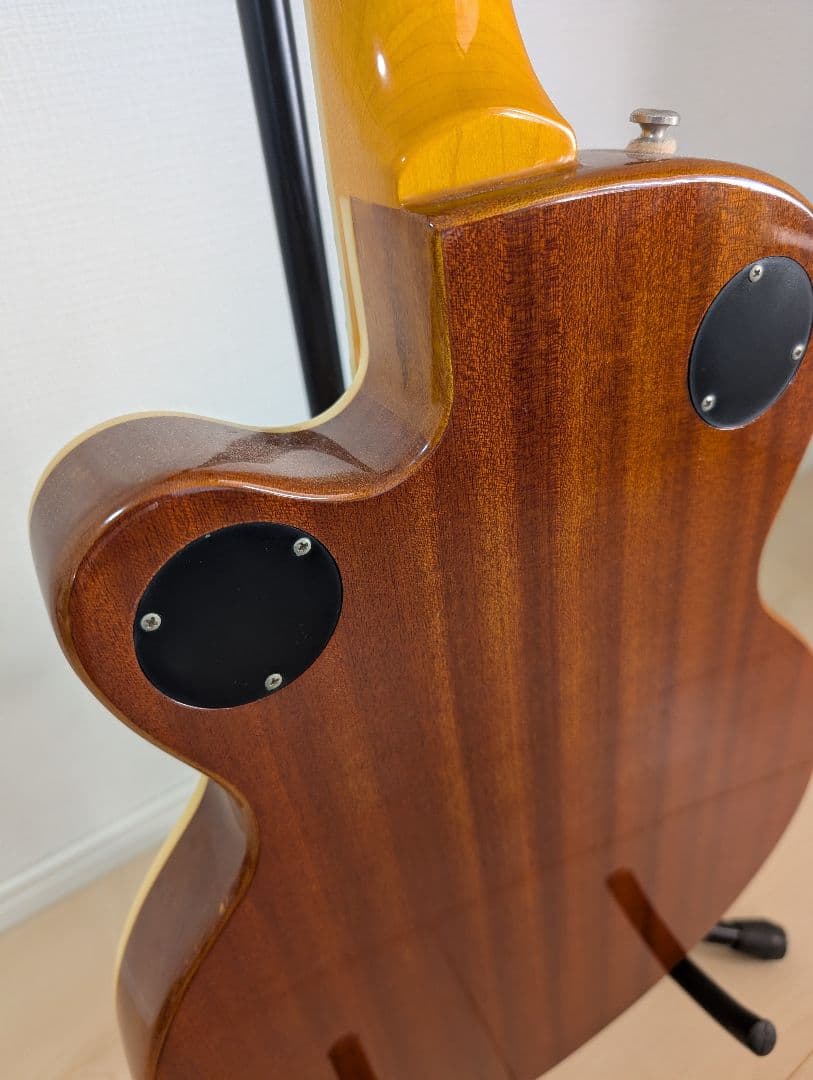 Epiphone Wildkat エピフォン　ワイルドキャット　ビグスビ―付