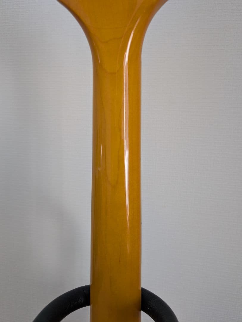 Epiphone Wildkat エピフォン　ワイルドキャット　ビグスビ―付