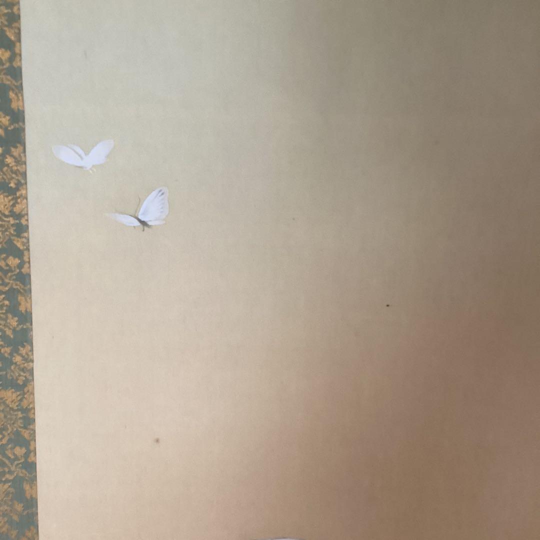 菱田春草　絹本着色　牡丹之図　講談社製複製画　掛軸一幅　保存箱他　未使用品197