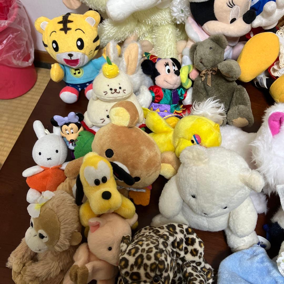 ぬいぐるみ50個