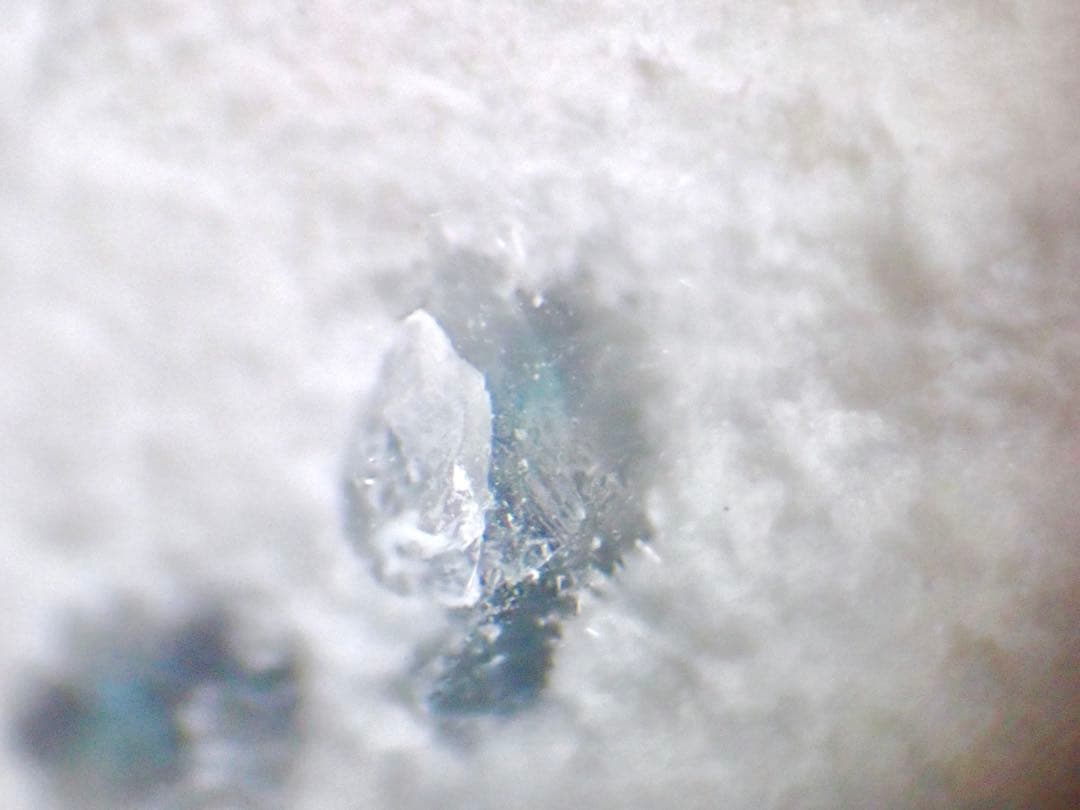 沼野石(TL) 布賀鉱山