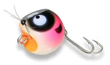 ZEAL 悟 　アライ君 ヘッド24 ポッパー 夜光PN 変り目　 即完