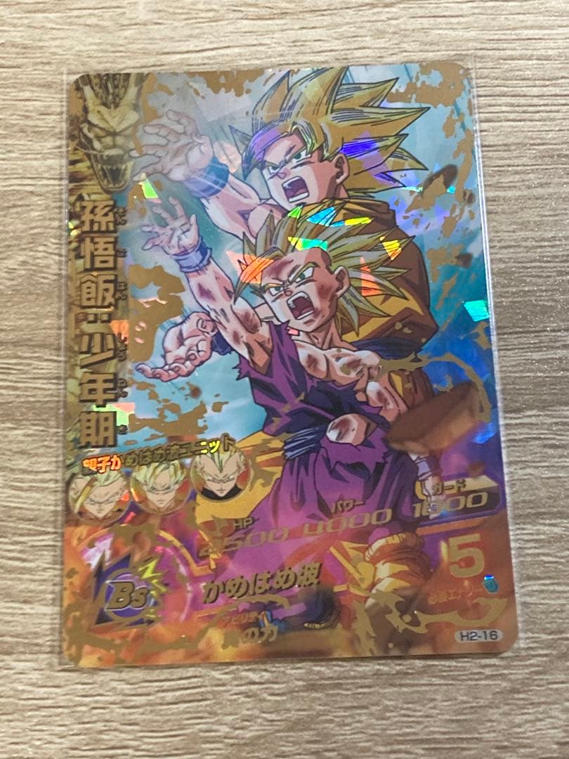 H2-16 孫悟飯少年期