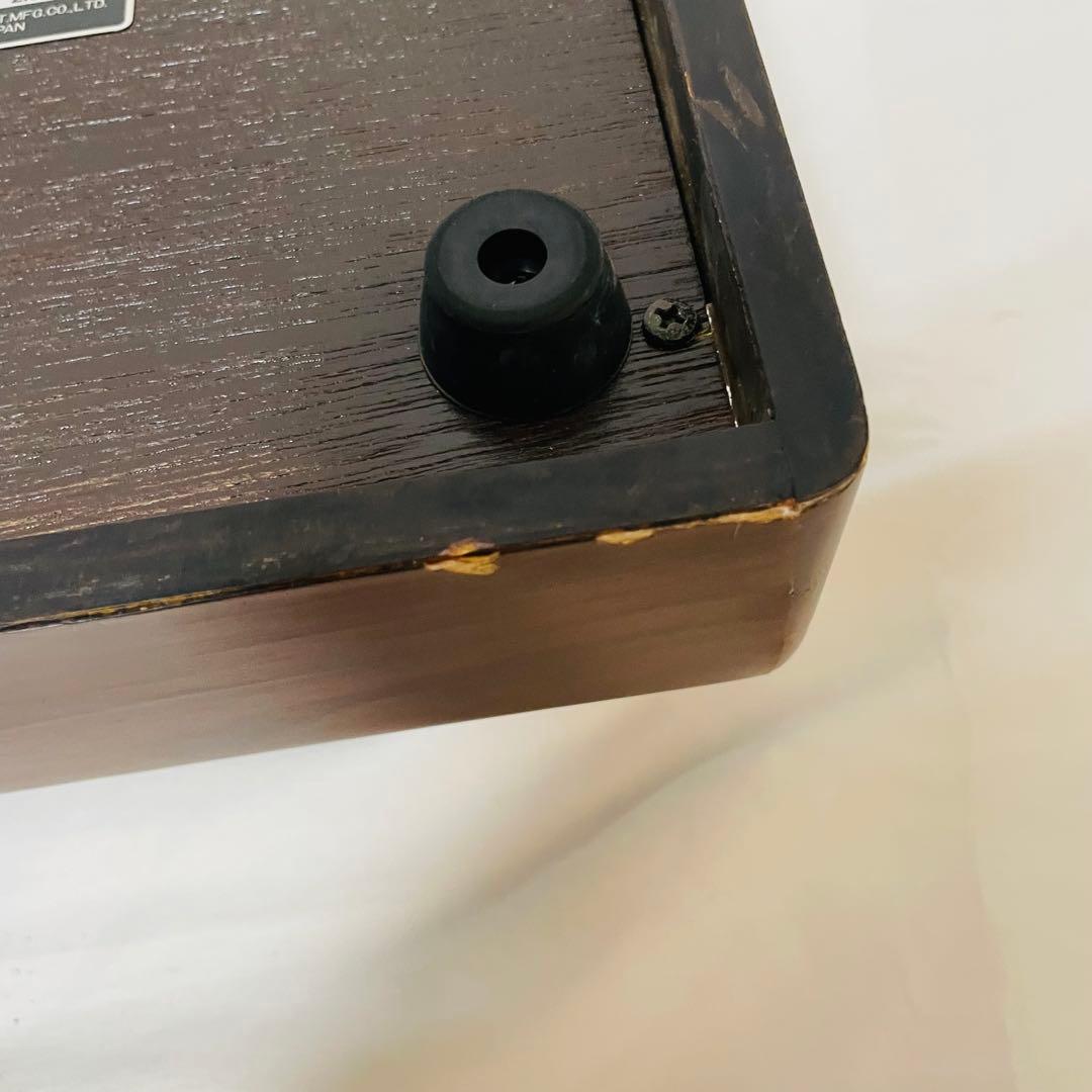 SUZUKI スズキ 和楽 電子大正琴 TES-100