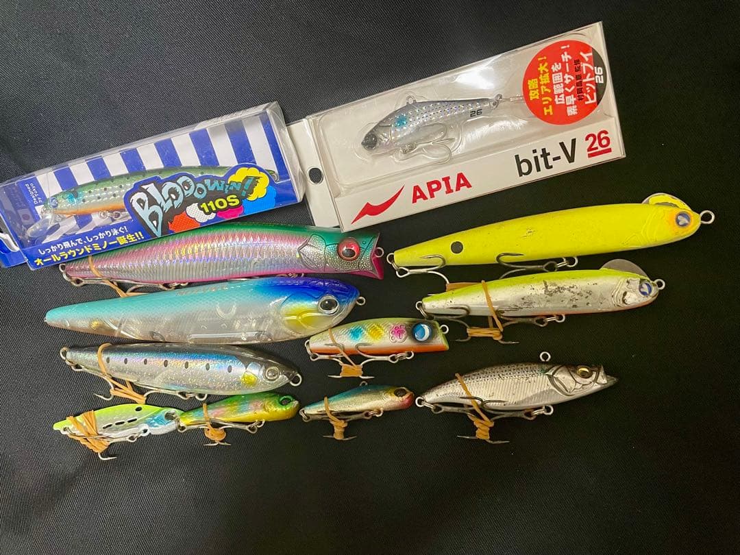 シーバスルアー12点セット