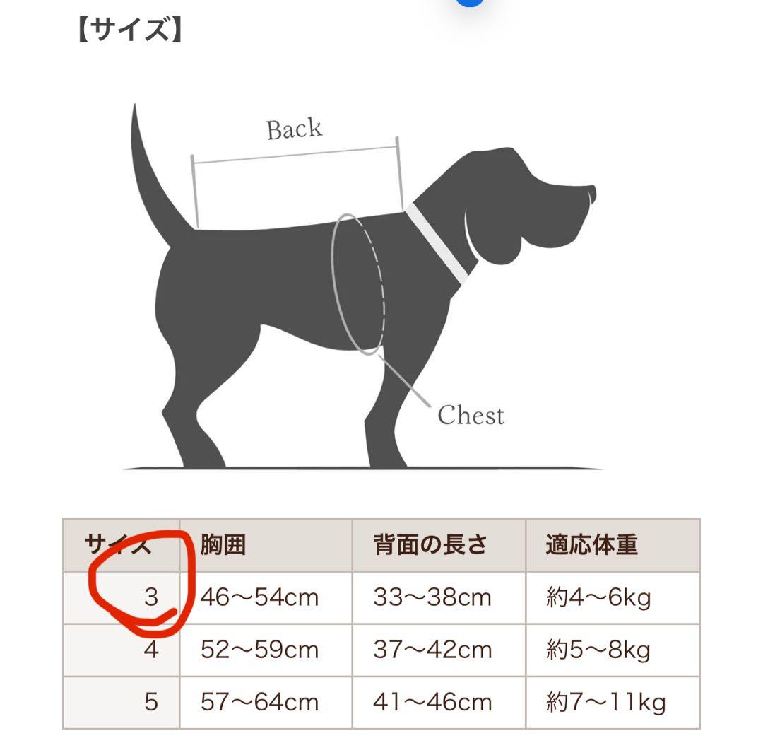 Cloud7 クラウド グラスゴー グリーンチェック SIZE3