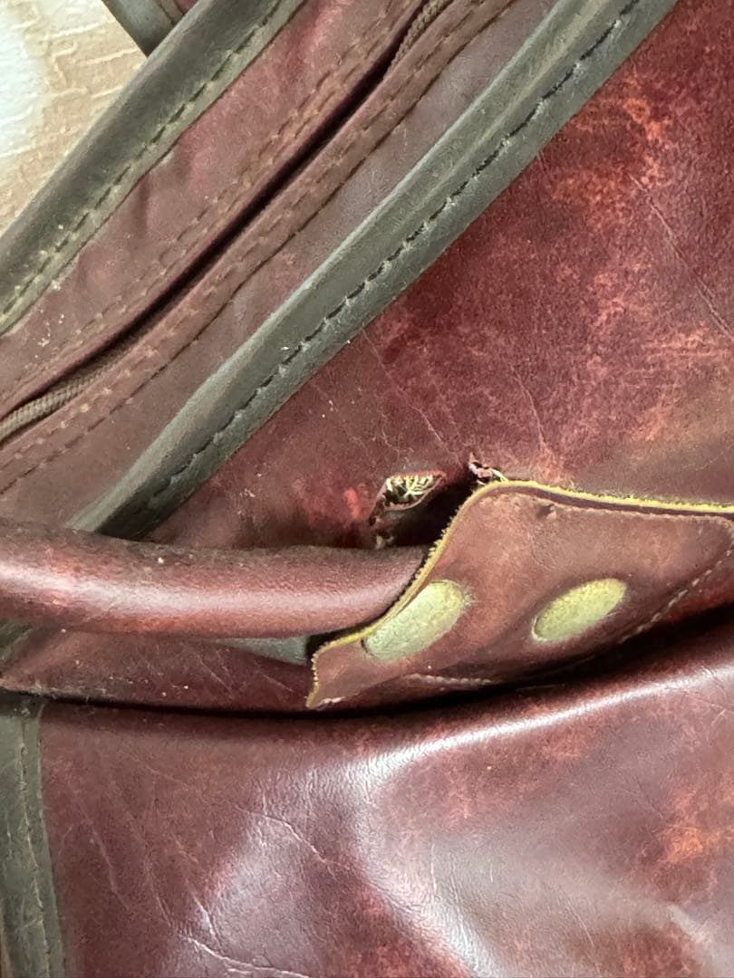 FERNANDES Limited Edition V型エレキギター