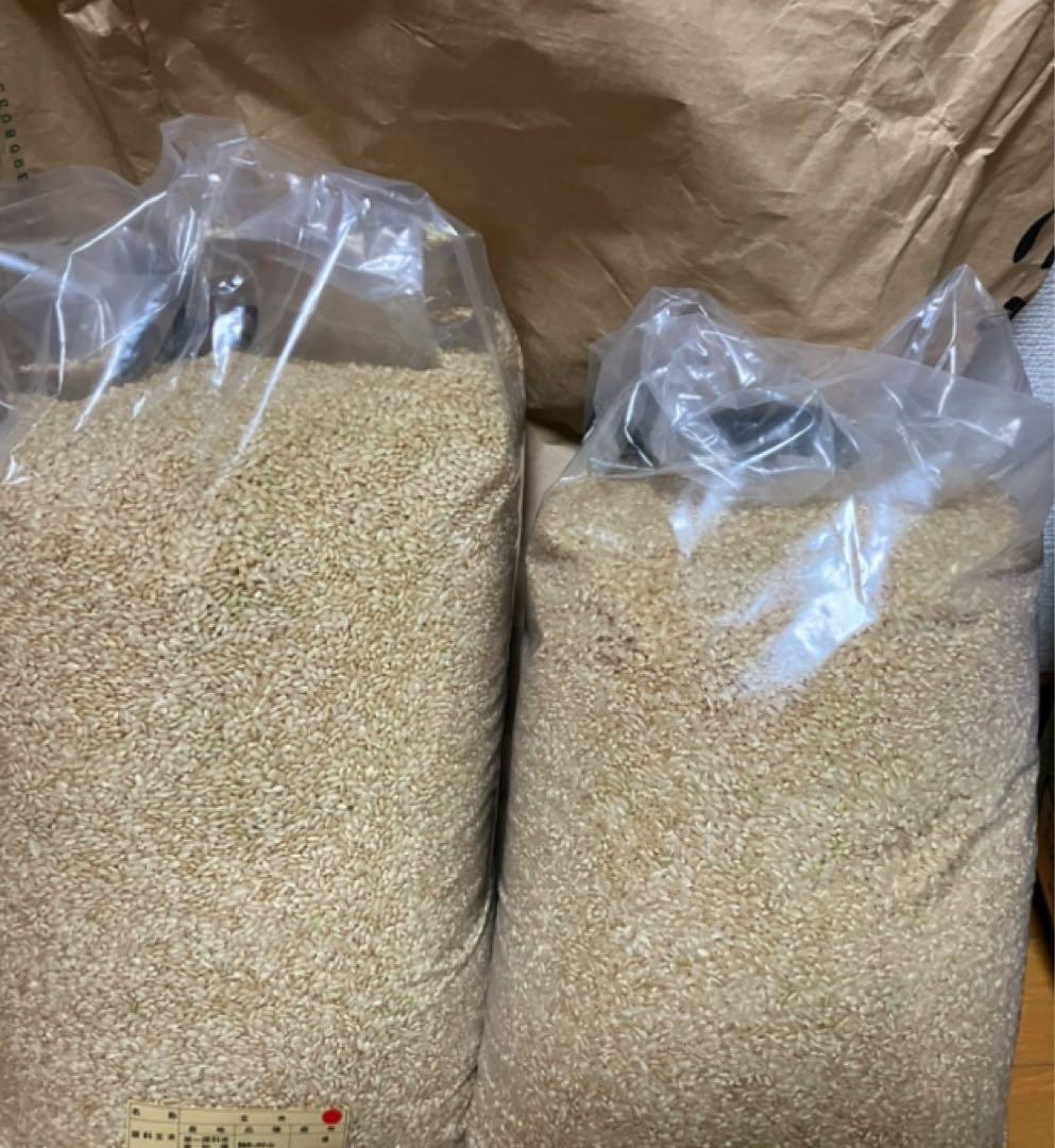 m'sまとめ山形県20キロ