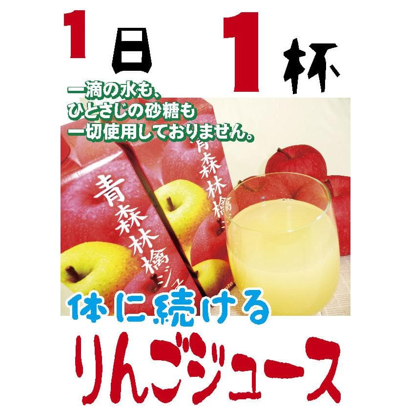 果汁100%アップルメイトりんごジュース1000ml紙パック15本入