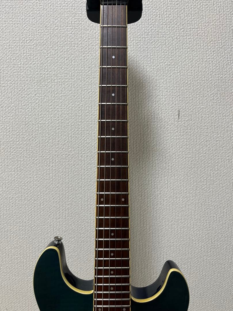 Fernandes フェルナンデス APG-55S サスティナー エレキギター