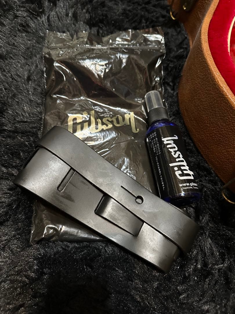 【極美品】Gibson Les Paul Standard ’50s HCS