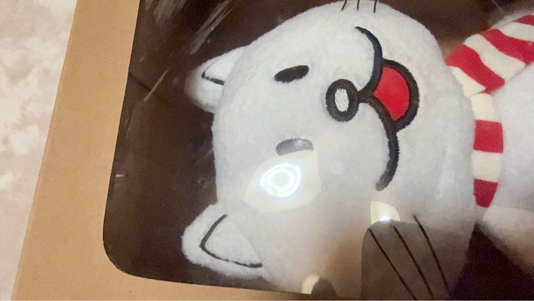 【新品未開封】BUMP OF CHICKEN ニコル タンブラー　ラバーバンド