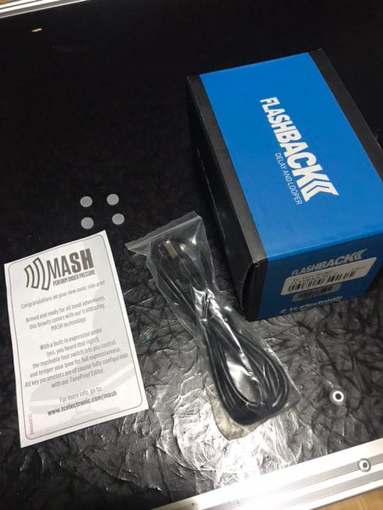 ギター TC Electronic Flashback 2 Delay