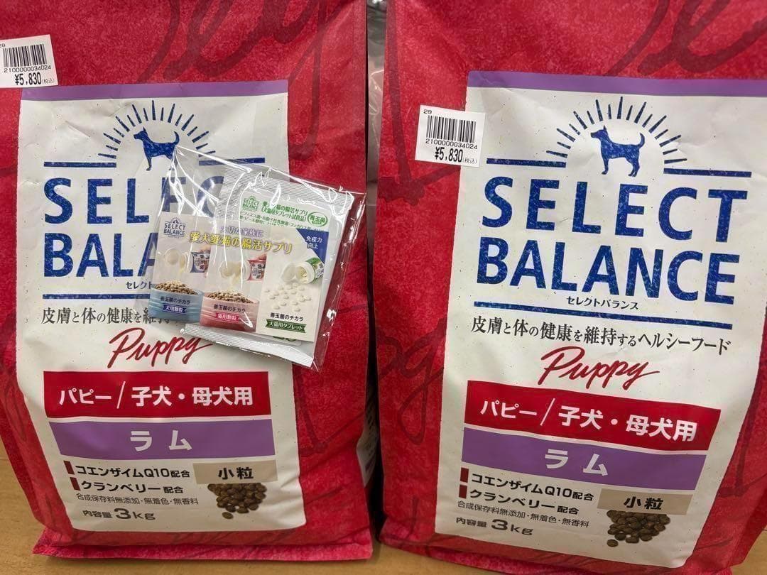 セレクトバランス パピーラム 3kg 2袋セット