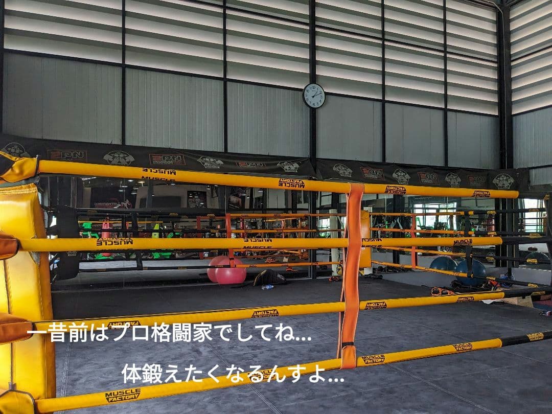 新作？タイのお守りプラクルアン…？いや呪物？九尾の狐！恋愛、良縁、金運アップ！！