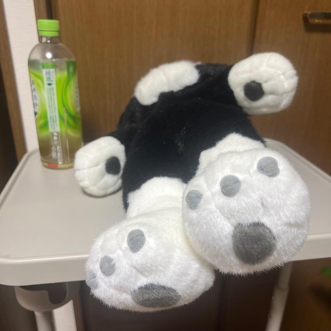 TIDE My Cat ぬいぐるみ　フィギュア　イデタツヒロ いでたつひろ