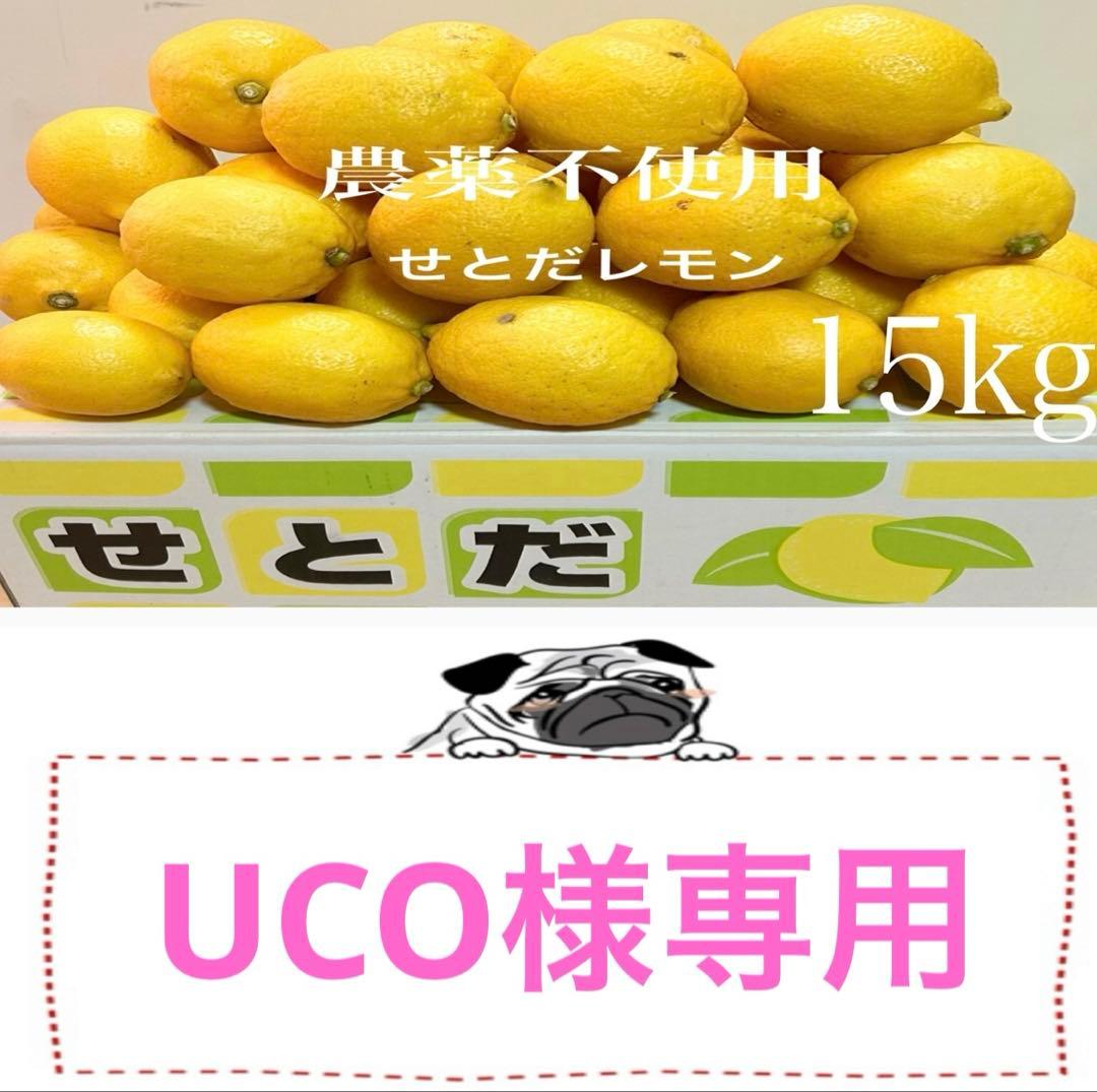 ★国産瀬戸田レモン15kg前後　UCO様
